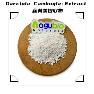 Venda quente Orgânica Extrato de Ácido Hidroxicítrico 65% Garcinia Cambogia