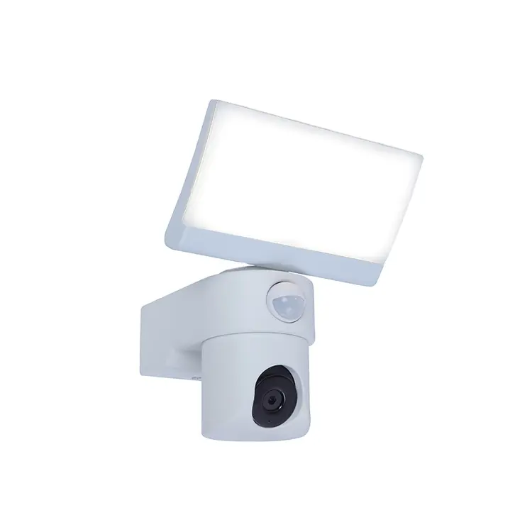 Motion sensor light with camera