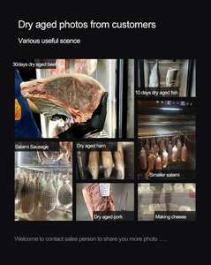 Geladeira de geladeira à seca da idade 249l, geladeira, carne seca, peixe, em casa, 170 - Product Image 2