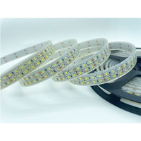Bande LED SMD WB2835 DC 24V 12mm 240LEDs/M IP68 Étanche à la poussière et à l'eau, télécommande, dimmable, flexible, CRI90 6500K, 50000 heures