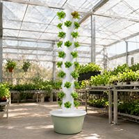 Tour de culture verticale pour serre commerciale, système hydroponique à 10 niveaux pour 40 plantes avec réservoir de 30L et pompe à eau