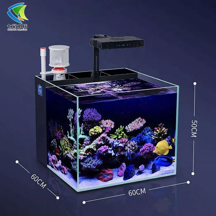 hot selling desktop sea tank ultra-white glass watertight protein skimmer high-quality filtration system to digest bacteria