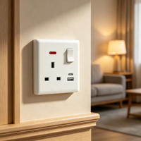 Prise murale OEM en gros avec interrupteur blanc, charge rapide USB Type C, 13A, pour panneau électrique