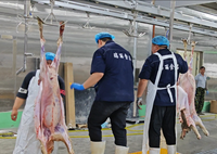 Conception clé en main personnalisée, équipement complet d'abattoir pour la transformation de la viande de mouton et de chèvre, machines d'abattage pour l'équipement d'abattoir