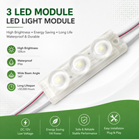 Módulo de Luz LED de 3 Colores Personalizado para Aplicaciones Decorativas y Publicitarias