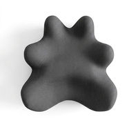 Coussin de soutien lombaire ergonomique en forme de M pour chaise de bureau, coussin dorsal en mousse à mémoire de forme avec sangle réglable, couleur personnalisable, vente en gros