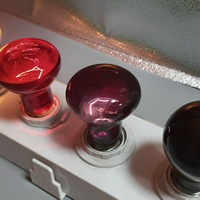 Vente directe d'usine, lampe chauffante halogène en verre pour reptiles, tortues, lézards, geckos, 75W, effet clair de lune, lumière nocturne E26