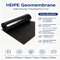 Geomembrana de HDPE de 2 mm con Diseño Moderno, Ecológica y Anti-UV para Revestimientos de Vertederos, Embalses y Granjas de Camarones