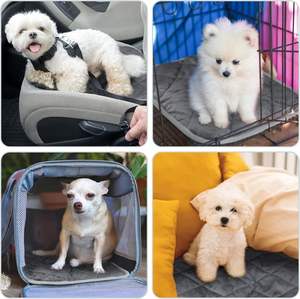 Venta al por mayor suave cachorro cajón Pad antideslizante perrera Mat manta para interior mascotas gatos invierno extraíble autocalentamiento perro cama Mat - Product Image 5