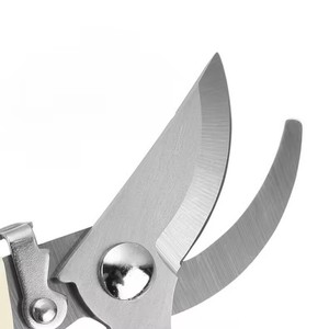 Sécateurs de jardin, cisailles de taille, ciseaux de jardin manuels multi-usages, outils de jardin - Product Image 4