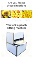 Machine automatique de dénoyautage et de séparation des noyaux d'abricots, d'avocats, de prunes et de pêches, fournie directement par l'usine