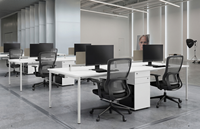 Postazione di Lavoro Moderna in Legno per 8 Persone con Divisori per la Privacy, Prese di Corrente, Armadietto Portadocumenti, per Call Center e Co-working