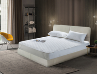 Protège-matelas imperméable Queen à poches profondes, surmatelas matelassé solide, housses de matelas