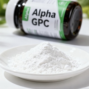 Fuertu %99,5+ Saflıkta Alfa GPC Beyaz Katı Toz Bilişsel Güçlendirici Takviye - Product Image 2