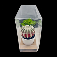 Boîte transparente réutilisable en PVC/PET écologique pour l'emballage de thé, aliments, bougies, plantes en pot et ornements, avec options de gaufrage personnalisables