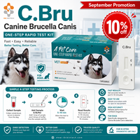 Kit de test d'anticorps BCL canin, cassette de diagnostic de Brucella Canis pour chien, dépistage rapide à usage vétérinaire