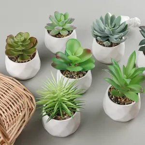 Kunstmatige Vetplanten, Indoor Fake Huis Planten In Ronde Witte Geometrische Keramische Potten Voor Bureau Woonkamer Slaapkamer Decor