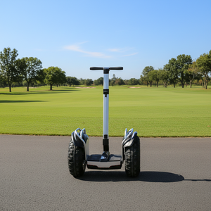 US Warehouse Two Wheel 19inch Off Road Smart Self Balancing 4000w Scooter Adult With Lithium Battery - Product Image 1