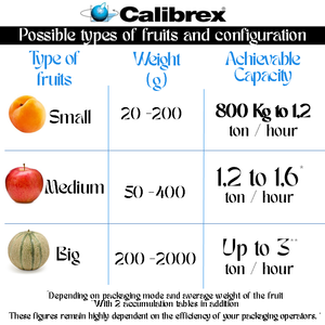 Machine de calibrage multifonctionnelle CALIBREX pour fruits de petite à grande taille, pêches et poires, avec table élévatrice à rouleaux, fabriquée en France - Product Image 5