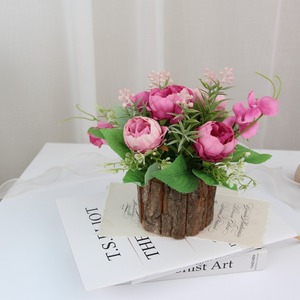 Nouvelle Tendance : Plante Artificielle en Pot pour Décoration de Fêtes, Mariages et Intérieur - Plantes Séchées - Product Image 4