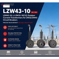 Transformateur de courant extérieur LZW43-10 LJ-ZW32-10 LJ-ZW32-12 10kV/12kV CT 10P10 Classe de protection