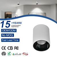 Plafonnier LED COB Moderne 10W Blanc Chaud 3000K 12W 20W 24W Cylindrique pour Salon