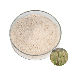 ผงซิลเลียมแกลบออร์แกนิกธรรมชาติ100% เส้นใยละลายได้สำหรับการย่อยอาหารฉลากส่วนตัว - Product Image 1