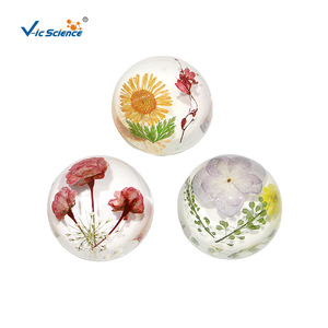 Spécimen de fleur emboîté dans de la résine hémisphérique de 47 mm, ornement de fleur séchée, cadeau exquis, fabricant de spécimens. - Product Image 5