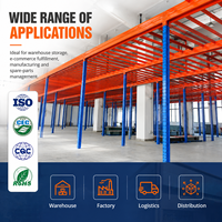 Plateforme de stockage en acier sur mesure pour entrepôt, solution de plateforme multi-niveaux robuste