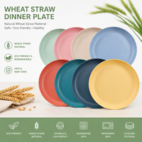 Ensemble d'assiettes écologiques en paille de blé, assiettes à dîner incassables, biodégradables, sans BPA, compatibles micro-ondes, vaisselle pour enfants et adultes