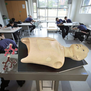 Modelo de simulación pulmonar bronquial para entrenamiento en escuelas de medicina, <span class=keywords><strong>endoscopia</strong></span> de fibra óptica de PVC, procedimientos orales de auscultación pulmonar - Product Image 6