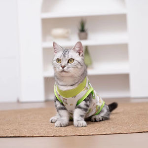 ¡Nuevos y elegantes trajes de recuperación para gatos! Algodón transpirable, antilamer, anticobertizo, ideal para gatos después de la esterilización y el destete - Product Image 2