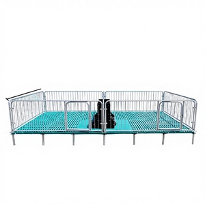 Cage <span class=keywords><strong>de</strong></span> maternité commerciale pour porcelets avec plancher BMC et mangeoire anti-diarrhée - Product Image 3
