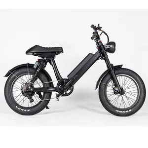 Abd depo Dynalion K7-2 20 "magnezyum alaşımlı jant kalın tekerlekli bisiklet 48v 750w elektrikli moped dağ bisikleti