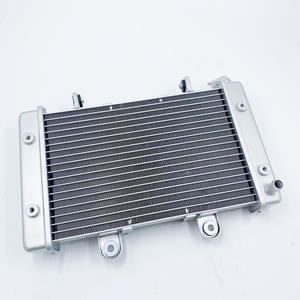 Nuevo radiador para <span class=keywords><strong>Shineray</strong></span> ST-9E Stixe a 250CC <span class=keywords><strong>ATV</strong></span> Quad radiador de refrigeración del ST9E tanque de enfriamiento de agua - Product Image 2