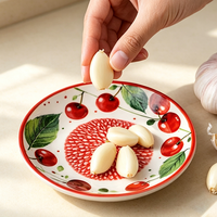 Populaire fijne puree babyvoeding keukenhulp decoratief fruitpatroon 3D conische tanden handmatige keramische gember-knoflook raspplaat