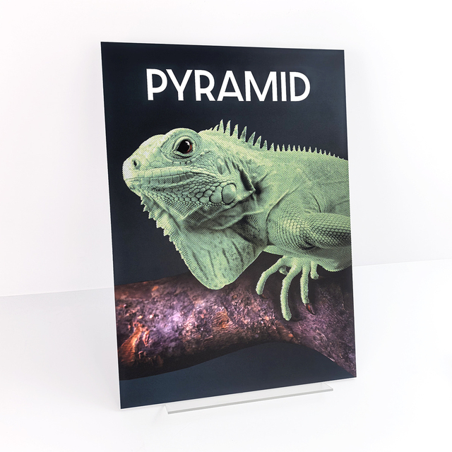 Custom 3D Relief Pyramid Printing Chameleon Lenticular Effect Visual Art Exhibition Advertising Branding Poster Board Displays