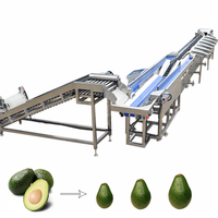 Avocado Oranje Cranberry Perzik Mais Groente Ui Sorteermachine Citroen Drakenvrucht Ecologisch Sensor PLC Model KHFX-6J Fruit