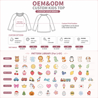 Korte mouw raglan shirt met fruitprint in kleurblokken voor meisjes, kinder top, OEM ODM groothandel kledingleverancier