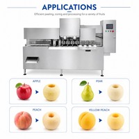 Hete Aanbieding Appel Schil- en Ontpitmachine Fruit & Groente Verwerker voor Voedselverwerkingslijn