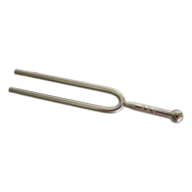 Medical Diagnostic Resonator Instruments Neurology ENT Stainless Steel Teaching Tool 256HZ 440HZ Tuning Fork for Sound Healing