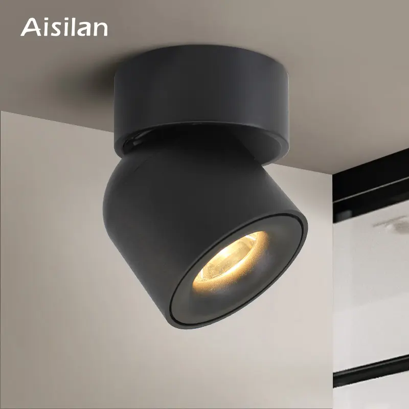 Aisilan hotel shop project dimmable adjustable anti glare spot down lights ceiling COB surface mounted led downlight