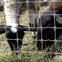 Clôture pour cerfs et bovins à nœuds fixes galvanisée de 5, 6, 7, 8 pieds pour champ agricole, clôture métallique pour ferme