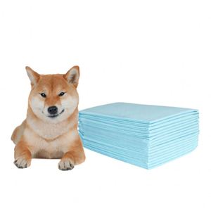 Vente en gros de Chine : Alèses jetables absorbantes pour l'entraînement des chiens et des chats, et alèses hygiéniques pour chiots, qualité personnalisée - Product Image 2