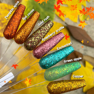 Queda o pó acrílico do prego 14 colore o jogo profissional do prego do pó do polímero para a extensão do prego - Product Image 2