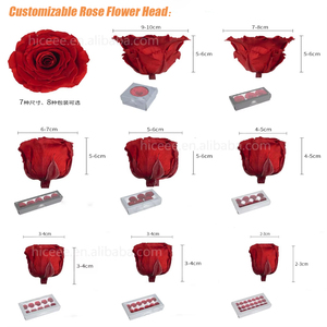 Cabezas de Flores Preservadas para Decoración al Por Mayor 3-4cm 4-5cm 5-6cm Flor Eterna Cabeza de Rosa Eterna - Product Image 3
