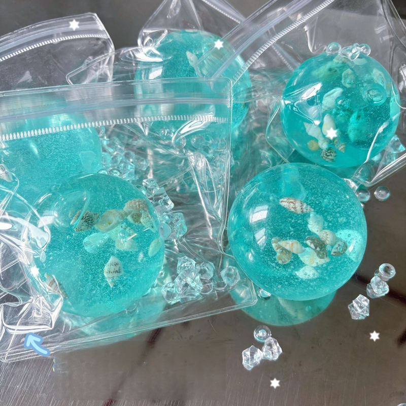 Coquillages de l'océan