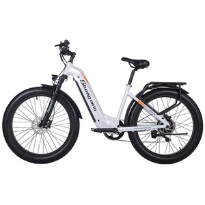 Bicicletta Elettrica per Adulti da 26 Pollici, E-Bike con Batteria al Litio a Lunga Autonomia per Trasporto Urbano e Ciclismo Ricreativo - Product Image 6