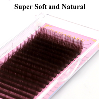 Extensions de cils classiques marron NAGARAKU, outils de maquillage