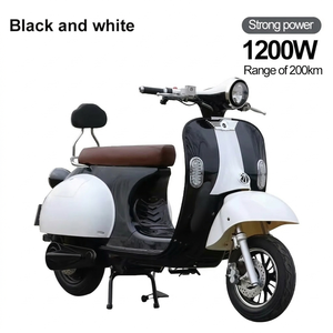 Novader Vélos Électriques à Moteur Arrière Sans Balais 1000W, Modèles Rétro de Luxe <span class=keywords><strong>Audrey</strong></span> Hepburn Personnalisables pour le Trajet Quotidien, Fabriqués en Chine - Vente Chaude - Product Image 1